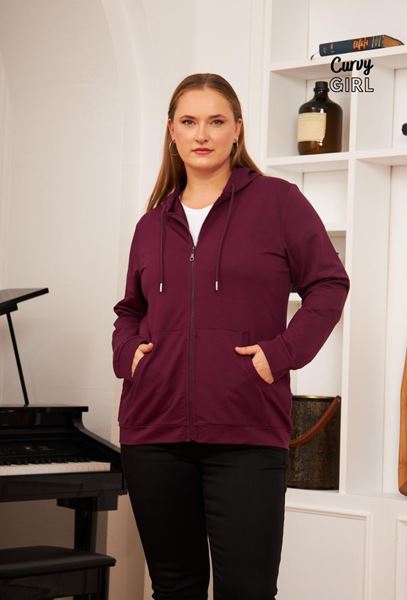 Picture of CURVY GIRL SWEATER WITH HOOD